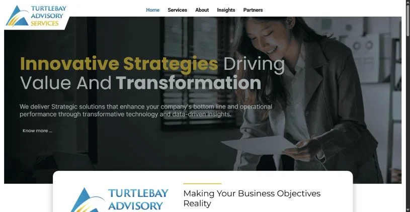 TurtleBay Advisory Services homepage